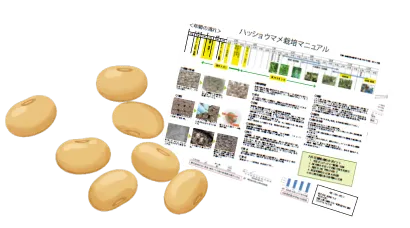 八升豆栽培マニュアル