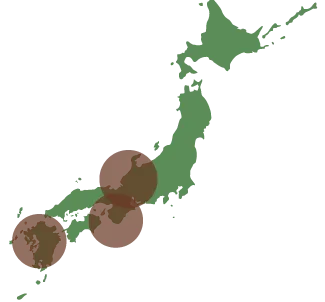 自社栽培比率80%