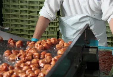 根拠のある製品開発を支える研究体制