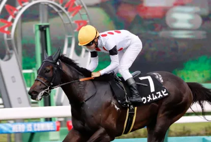 独自製法・唯一のオリジナル原料