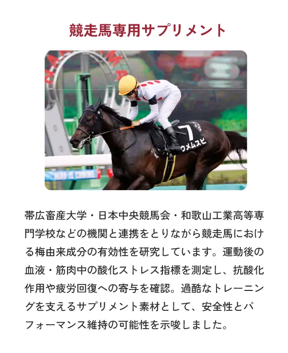 （梅の用途開発の研究）