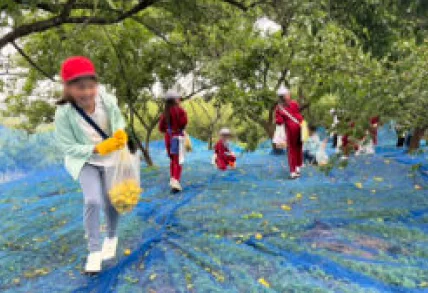 根拠のある製品開発を支える研究体制